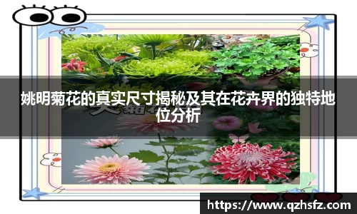 江南体育